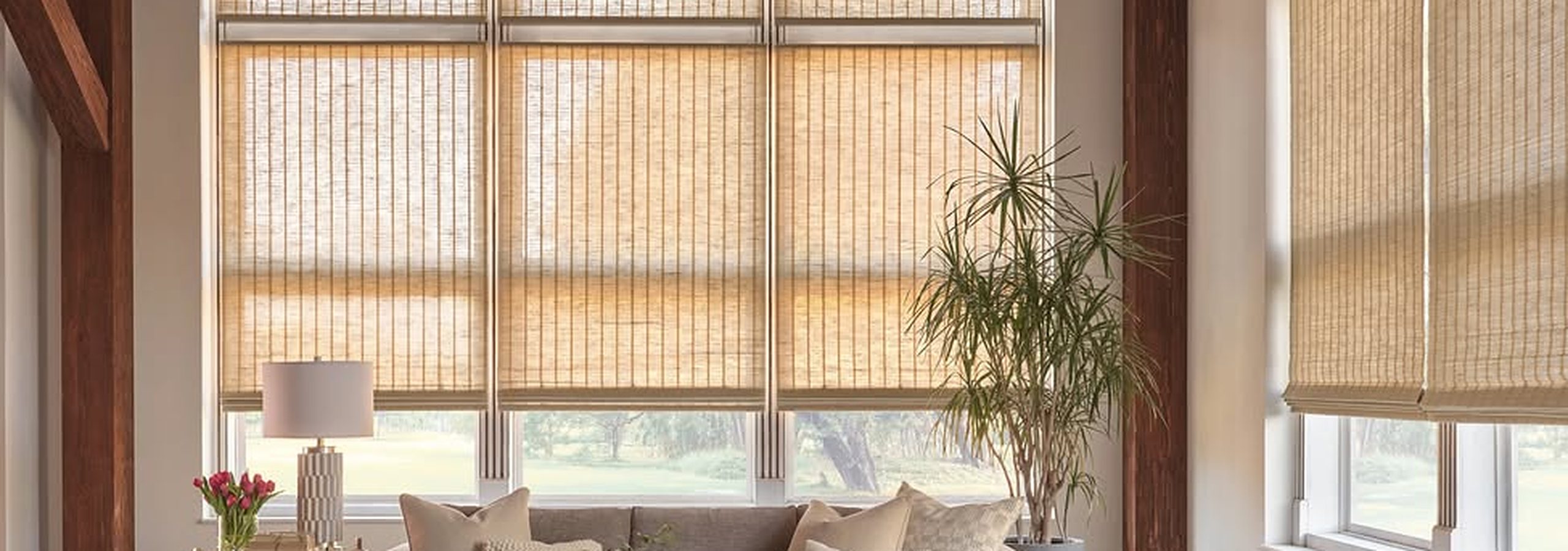 Window Treatments & Blinds