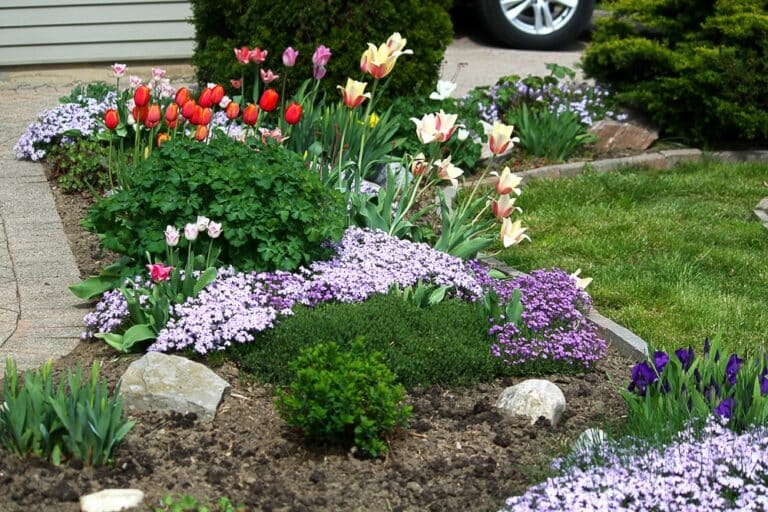 Tips For Affordable Curb Appeal